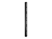 APC Easy Rack Vertical Cable Manager 42U