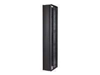 APC ValueLine Vertical Cable Manag 2 and 4 Post Racks 84p H X 12inch W Double-Sided with Doors