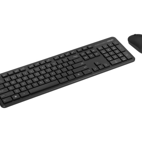 ASUS CW100 Wireless Combo