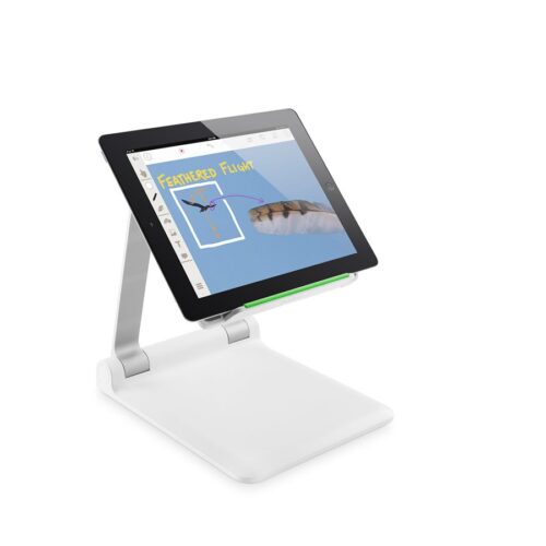 BELKIN Support Ipad Tablette Education