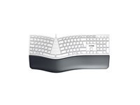 CHERRY KC 4500 ERGO Keyboard (DE)