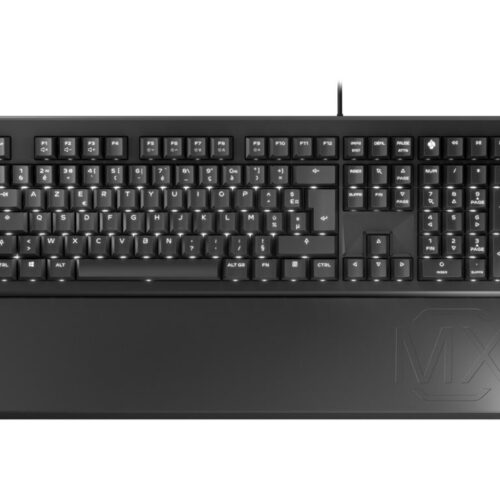 CHERRY MX BOARD 1.0 BACKLIGHT Clavier mécanique silencieux rétroéclairé USB noir Layout FRANCAIS