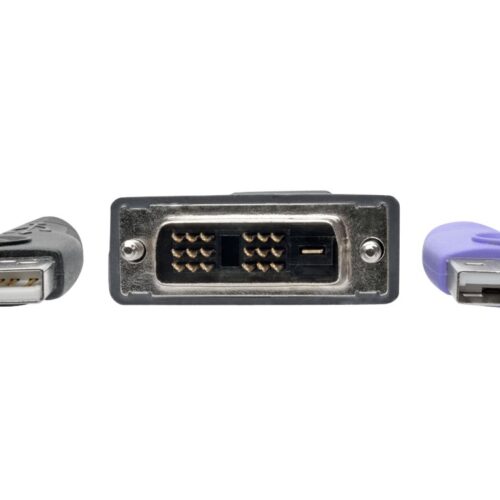 EATON NetDirector DVI USB Server Interface Unit with Virtual Media and CAC Support B064-IPG Series USB and DVI