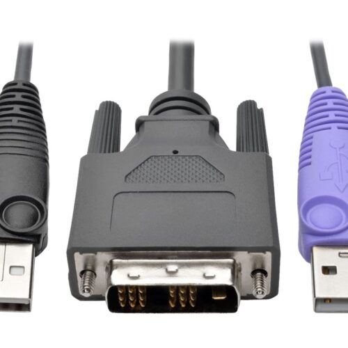 EATON NetDirector DVI USB Server Interface Unit with Virtual Media and CAC Support B064-IPG Series USB and DVI