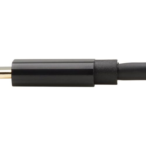 EATON TRIPPLITE USB-C to DisplayPort Bi-Directional Active Adapter Cable M/M 4K 60 HDR Locking DP Connector 6ft. 1.8m