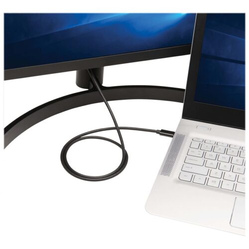 EATON TRIPPLITE USB-C to DisplayPort Bi-Directional Active Adapter Cable M/M 4K 60 Hz HDR Locking DP Connector 3 ft. 0.9m