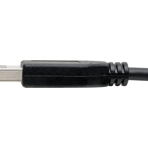 EATON TRIPPLITE USB-C to USB-A Cable M/M USB 3.1 Gen 1 5Gbps Thunderbolt 3 Compatible 6ft. 1.83m