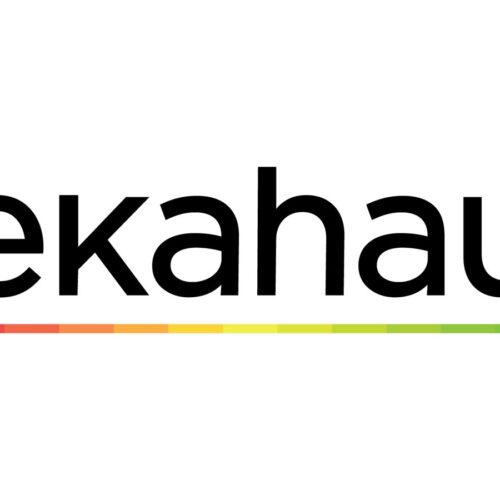 EKAHAU Replacement power supply USB-C 60W