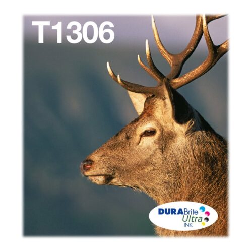 EPSON 1LB Multipack 3-colours T1306 DURABrite Ultra Ink EasyMail