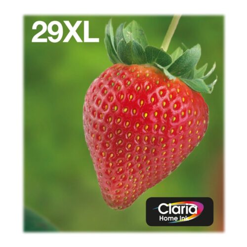 EPSON 1LB Multipack 4-colours 29XL EasyMail
