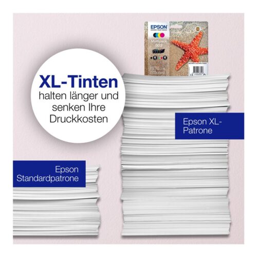 EPSON 1LB Multipack 4-colours 603 Ink w/s