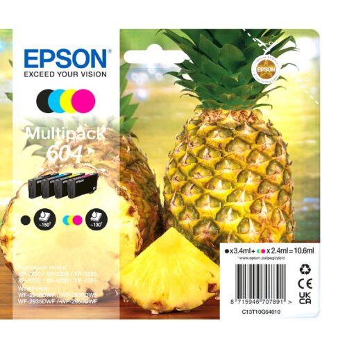 EPSON 1LB Multipack 4colours 604 Ink w/s