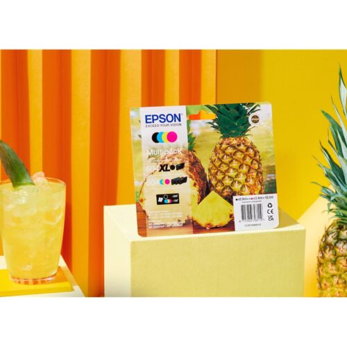 EPSON 1LB Multipack 4colours 604XL Ink