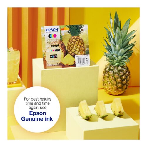 EPSON 1LB Multipack 4colours 604XL Ink w/s
