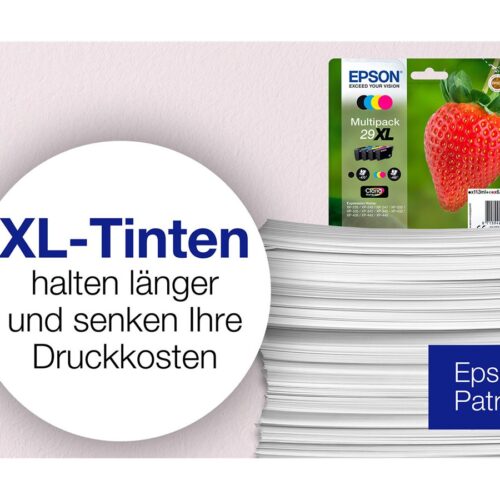 EPSON 1LB Multipack Fraise – Encre Claria Home Black Cyan Magenta Yellow XL w/s