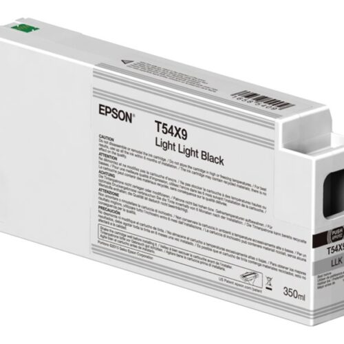 EPSON 1LB Singlepack Light Light Black T54X900 UltraChrome