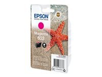 EPSON 1LB Singlepack Magenta 603 Ink w/s