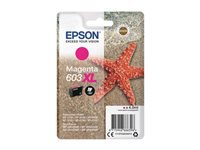 EPSON 1LB Singlepack Magenta 603XL Ink
