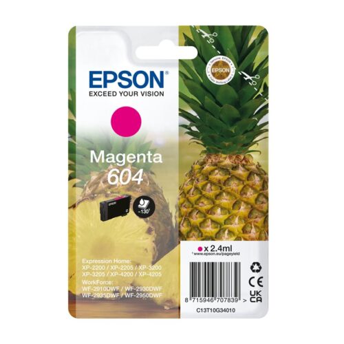 EPSON 1LB Singlepack Magenta 604 Ink