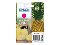 EPSON 1LB Singlepack Magenta 604 Ink w/s