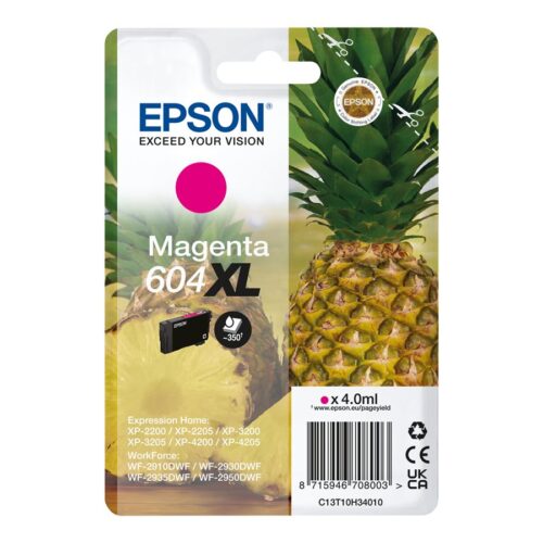 EPSON 1LB Singlepack Magenta 604XL Ink w/s