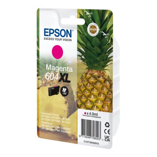 EPSON 1LB Singlepack Magenta 604XL Ink w/s
