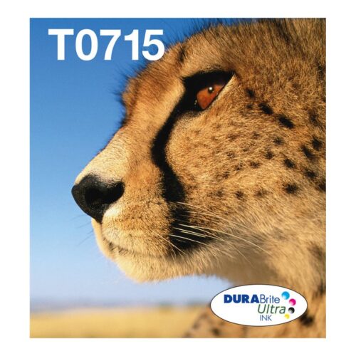 EPSON 2LB EasyMail MP Cheetah DURABrite Ultra CMYK