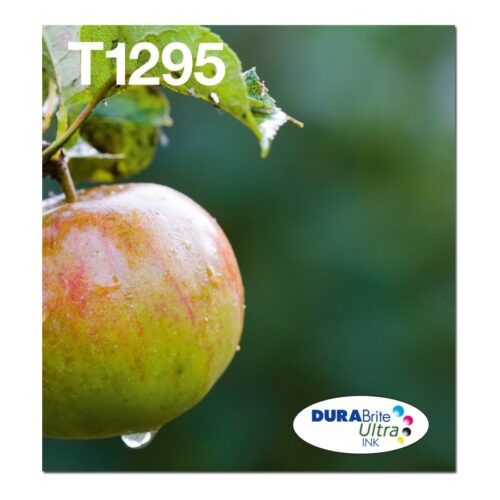 EPSON 2LB T129 Durabrite Ultra Ink EasyMail multipack