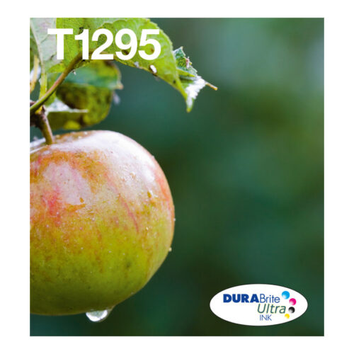 EPSON 2LB T129 Durabrite Ultra Ink EasyMail multipack