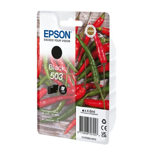 EPSON 4LB Singlepack Black 503 Ink w/s