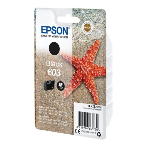 EPSON 4LB Singlepack Black 603 Ink w/s