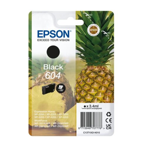 EPSON 4LB Singlepack Black 604 Ink