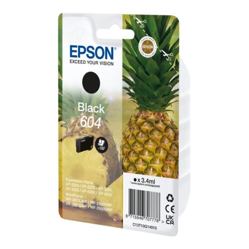 EPSON 4LB Singlepack Black 604 Ink