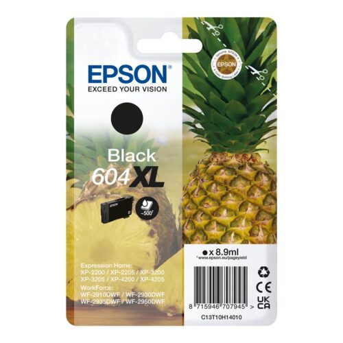 EPSON 4LB Singlepack Black 604XL Ink