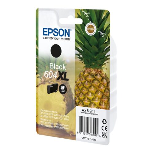 EPSON 4LB Singlepack Black 604XL Ink