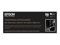 EPSON S045054 Traditional photo  papier inkjet 330g/m2 432mm x 15m 1 rouleau pack de 1