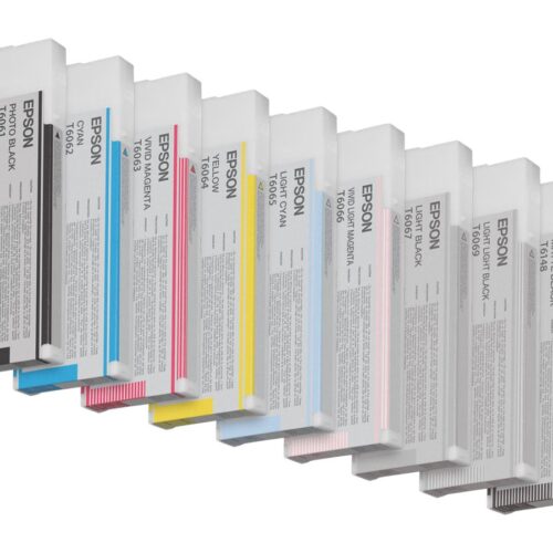 EPSON T6065 cartouche dencre cyan clair capacité standard 220ml pack de 1