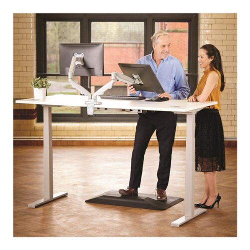 FELLOWES BRAS ARTICULE DOUBLE ECRAN EPPADUAL Silver jusqu’à 39 POUCES