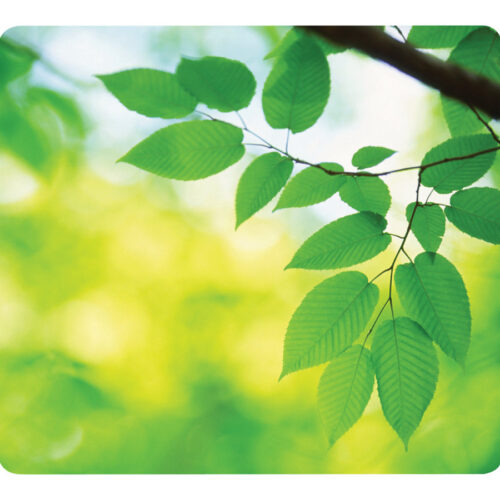 FELLOWES Earth Series Mouse pad Blade