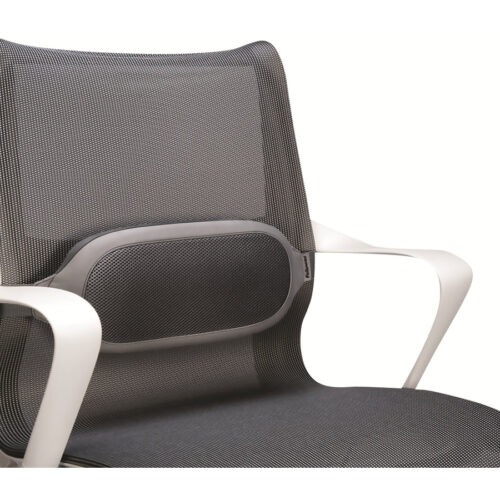 FELLOWES i-spire coussin lombaire