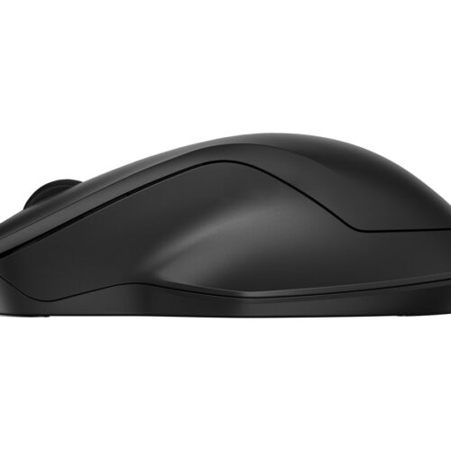 HP 255 Dual Wireless Mouse
