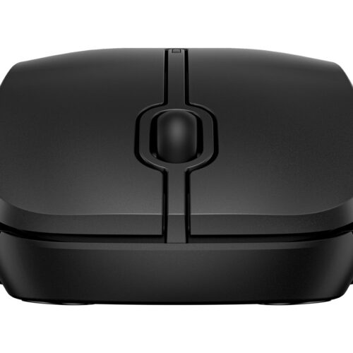 HP 255 Dual Wireless Mouse (EN)