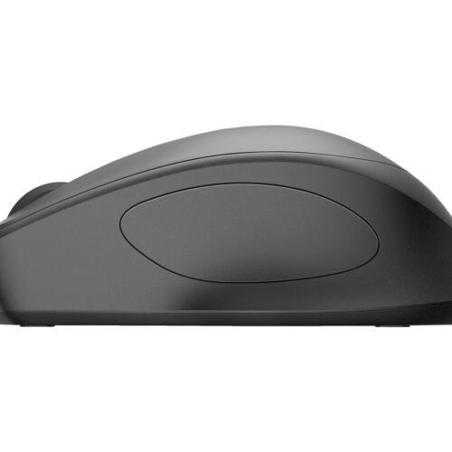 HP 285 Silent Wireless Mouse