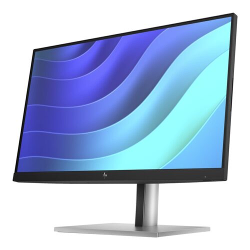 HP Écran E22 G5 FHD 21.5p FHD 1920×1080 HDMI USB hub DisplayPort