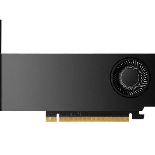 HP NVIDIA RTX 2000 Ada 16Go 4mDP Graphics