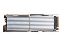 HP SSD Kit 256Go 2280 PCIe-4×4 Value M.2 Z2 G9 MINI