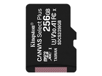 KINGSTON 256GB microSDXC Canvas Select Plus 100R A1 C10 Single Pack w/o ADP
