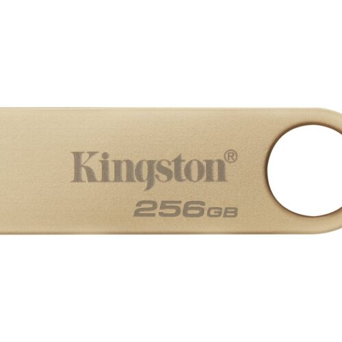 KINGSTON 256Go 220Mo/s Metal USB 3.2 Gen 1 DataTraveler SE9 G3