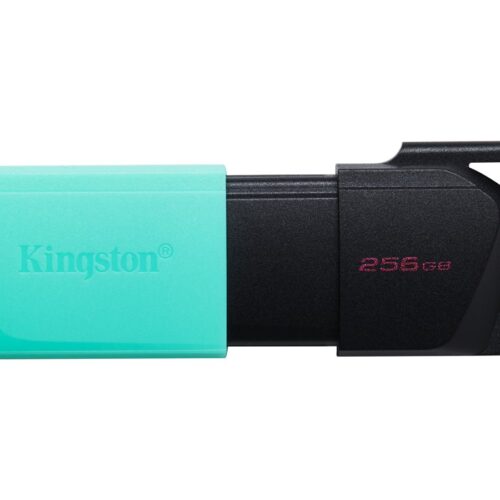 KINGSTON 256Go DataTraveler Exodia M