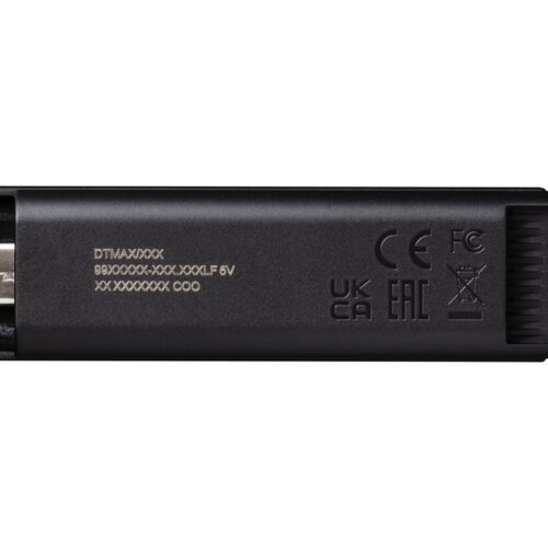 KINGSTON 256Go USB3.2 Gen 2 DataTraveler Max